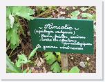 AHCE_Mens 2008_0066 * 2272 x 1704 * (1.61MB)